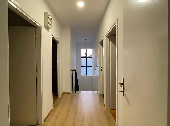 House Fila توراني